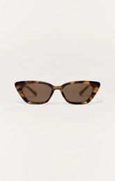 Brown Tortoise - Brown