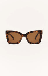 Brown Tortoise - Brown