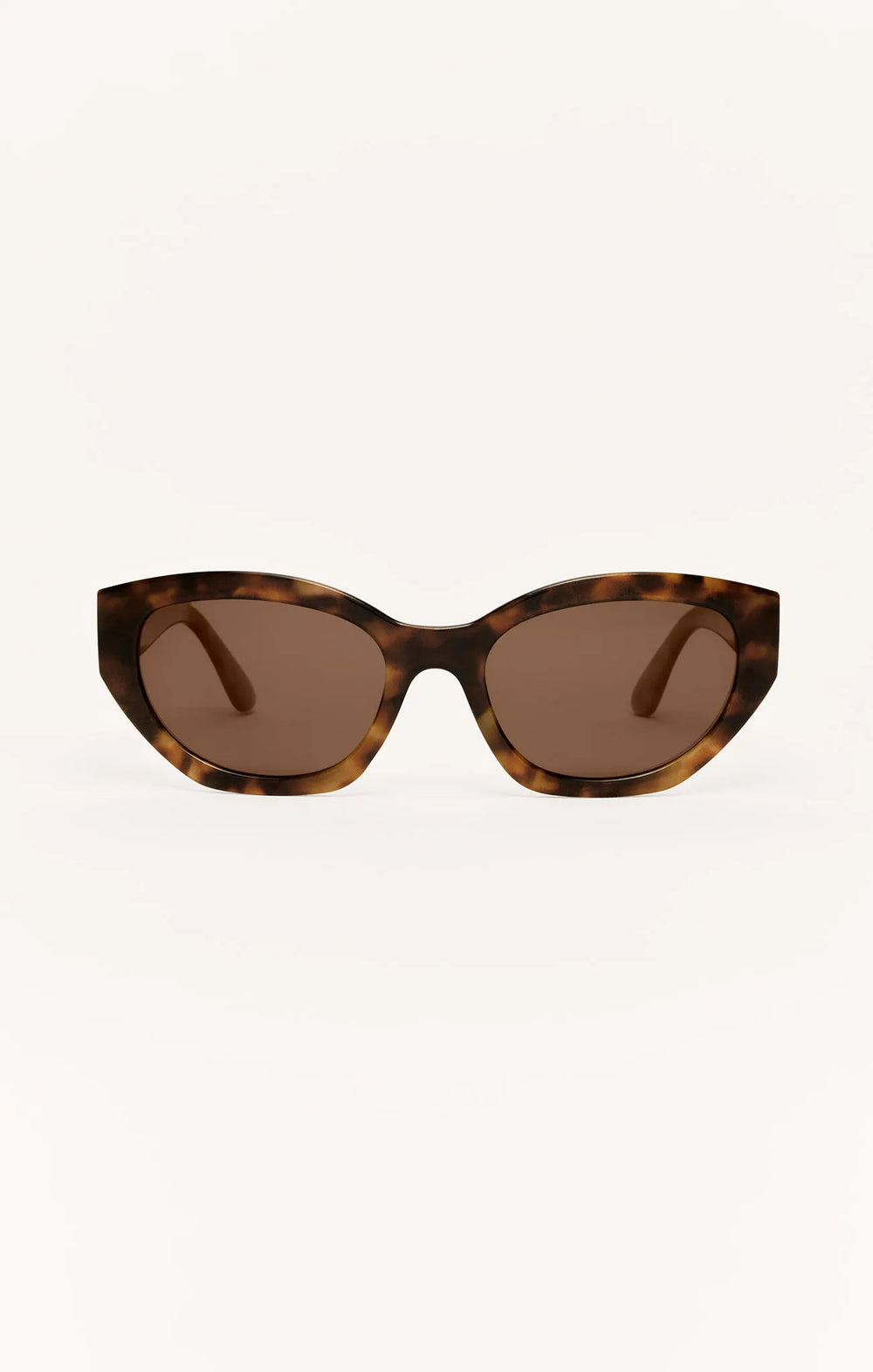 Brown Tortoise - Brown
