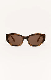 Brown Tortoise - Brown