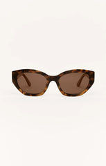 Brown Tortoise - Brown