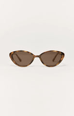 Brown Tortoise - Brown