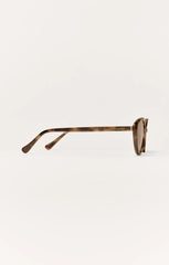 Brown Tortoise - Brown