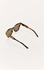 Brown Tortoise - Brown