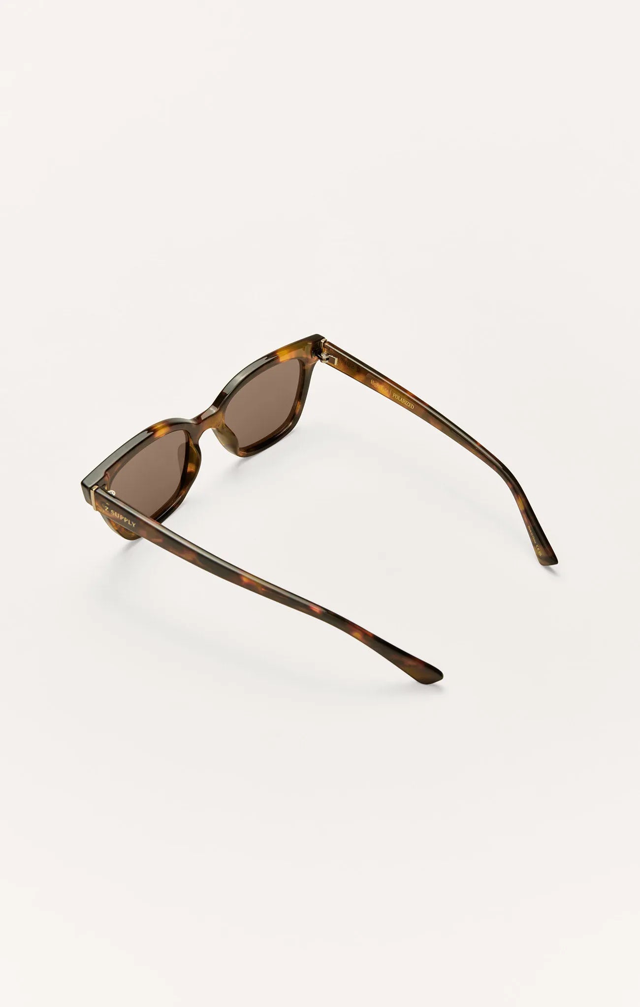 Brown Tortoise - Brown