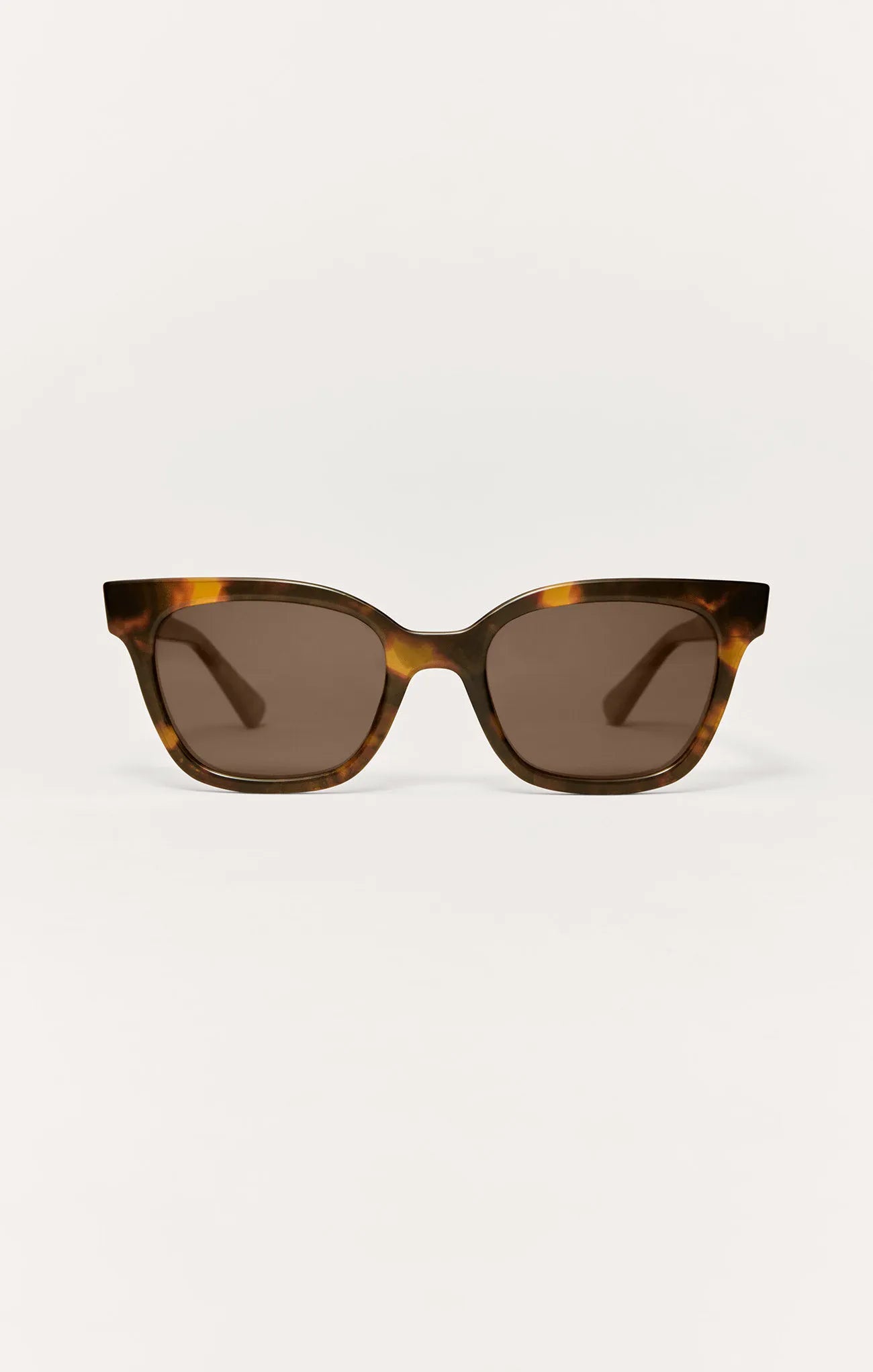 Brown Tortoise - Brown