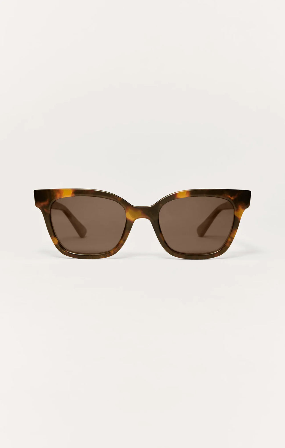 Brown Tortoise - Brown