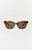 Brown Tortoise - Brown