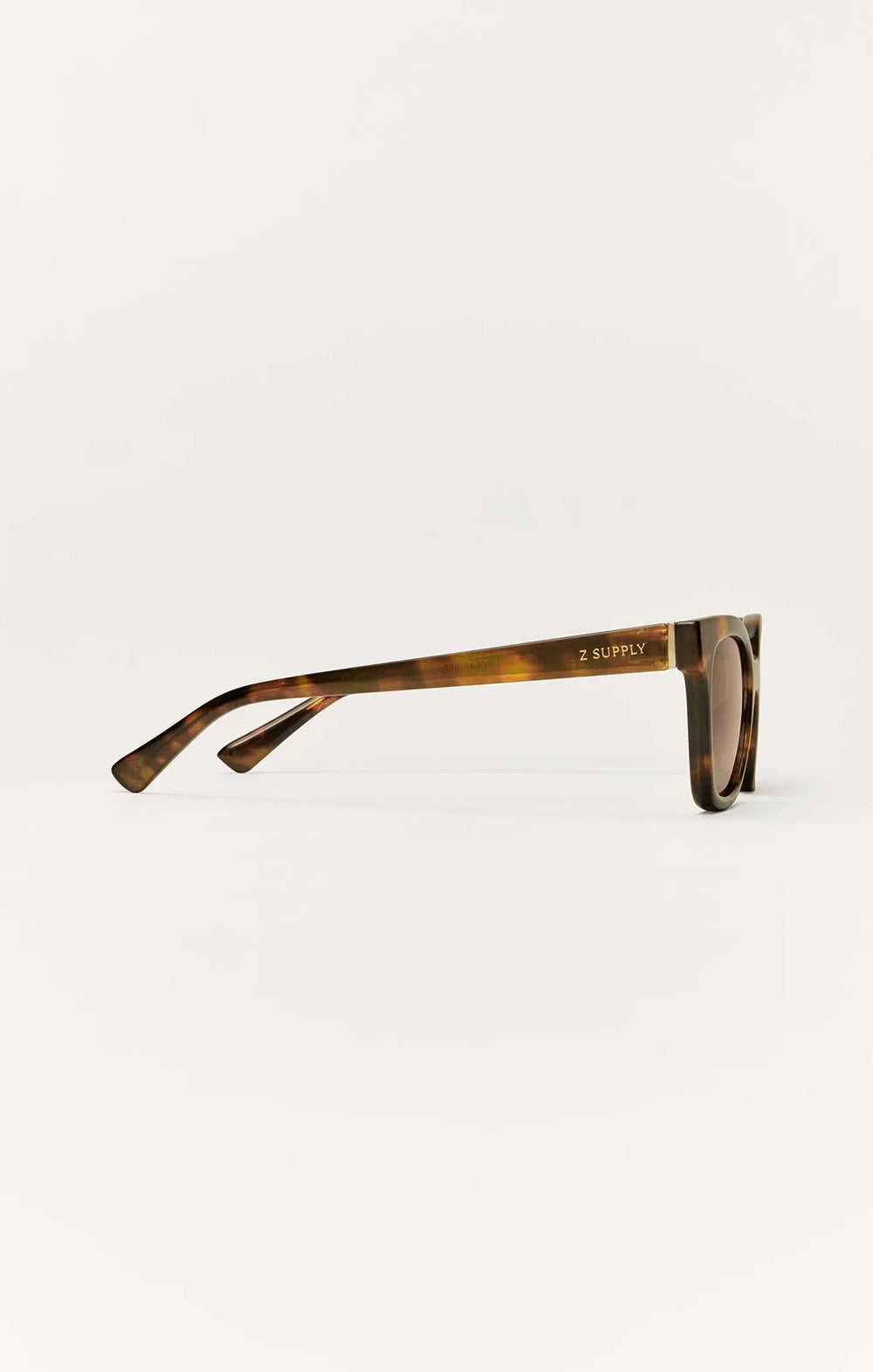 Brown Tortoise - Brown