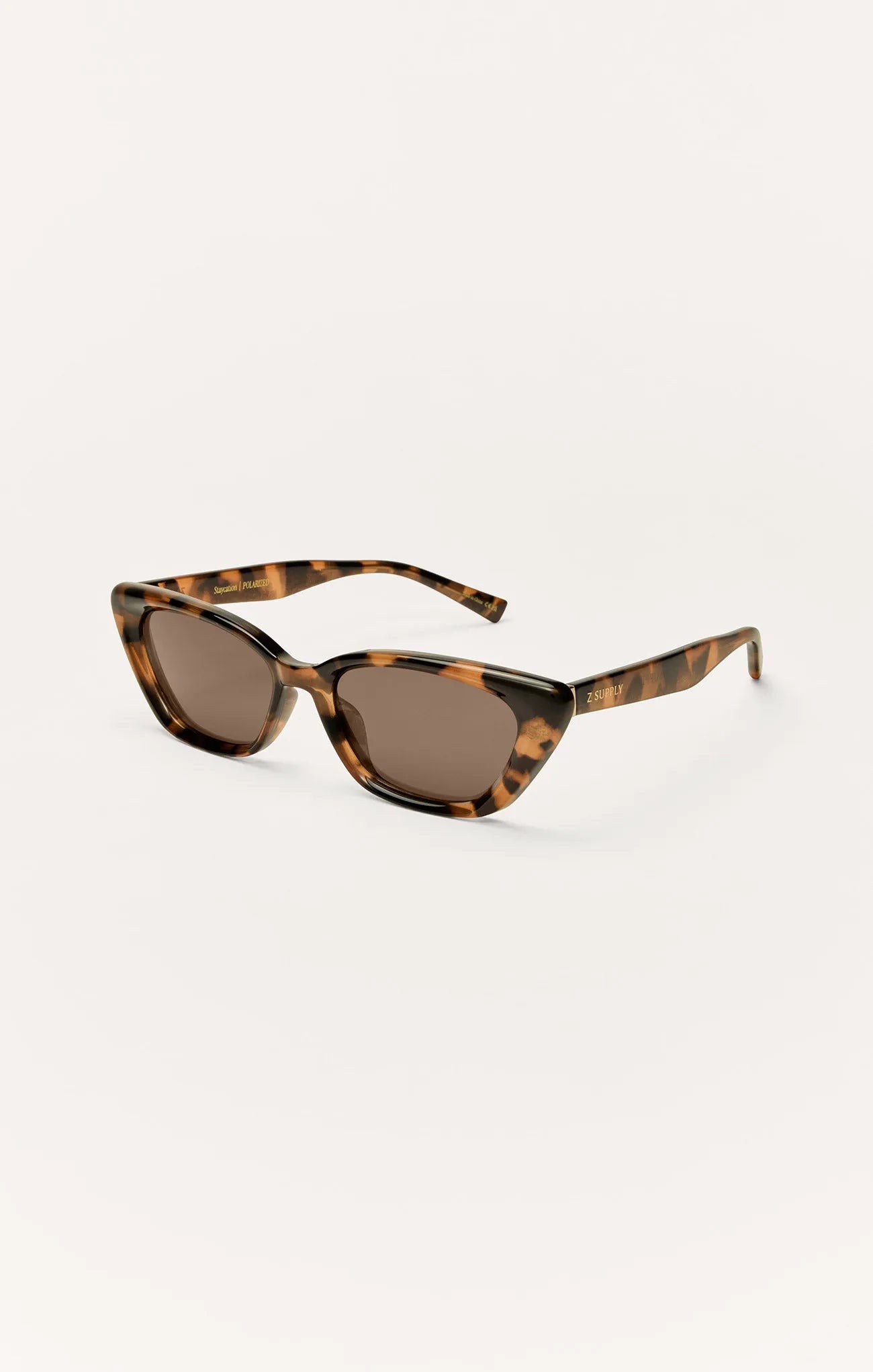 Brown Tortoise - Brown