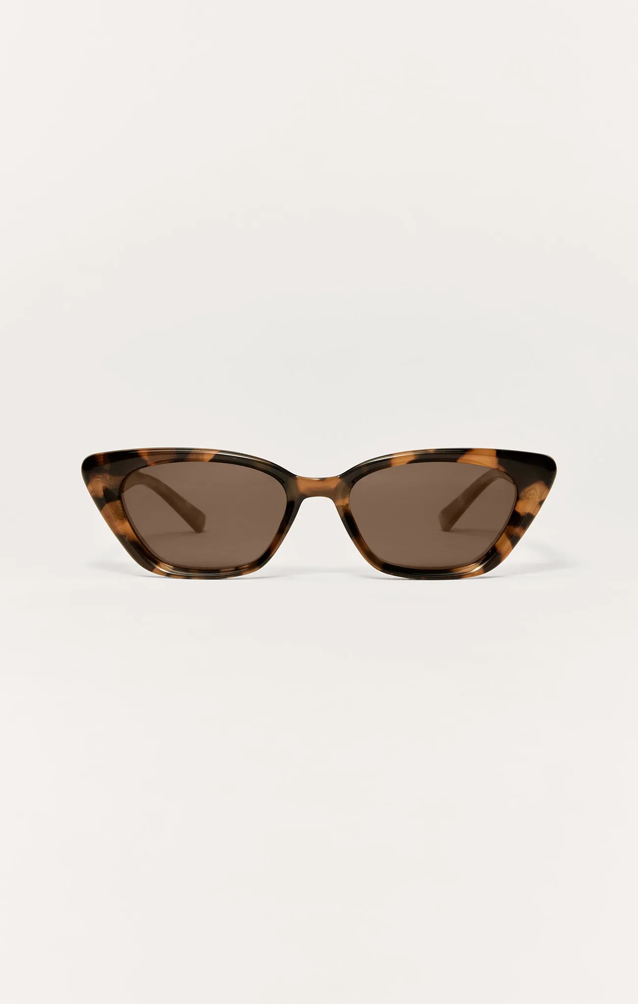 Brown Tortoise - Brown