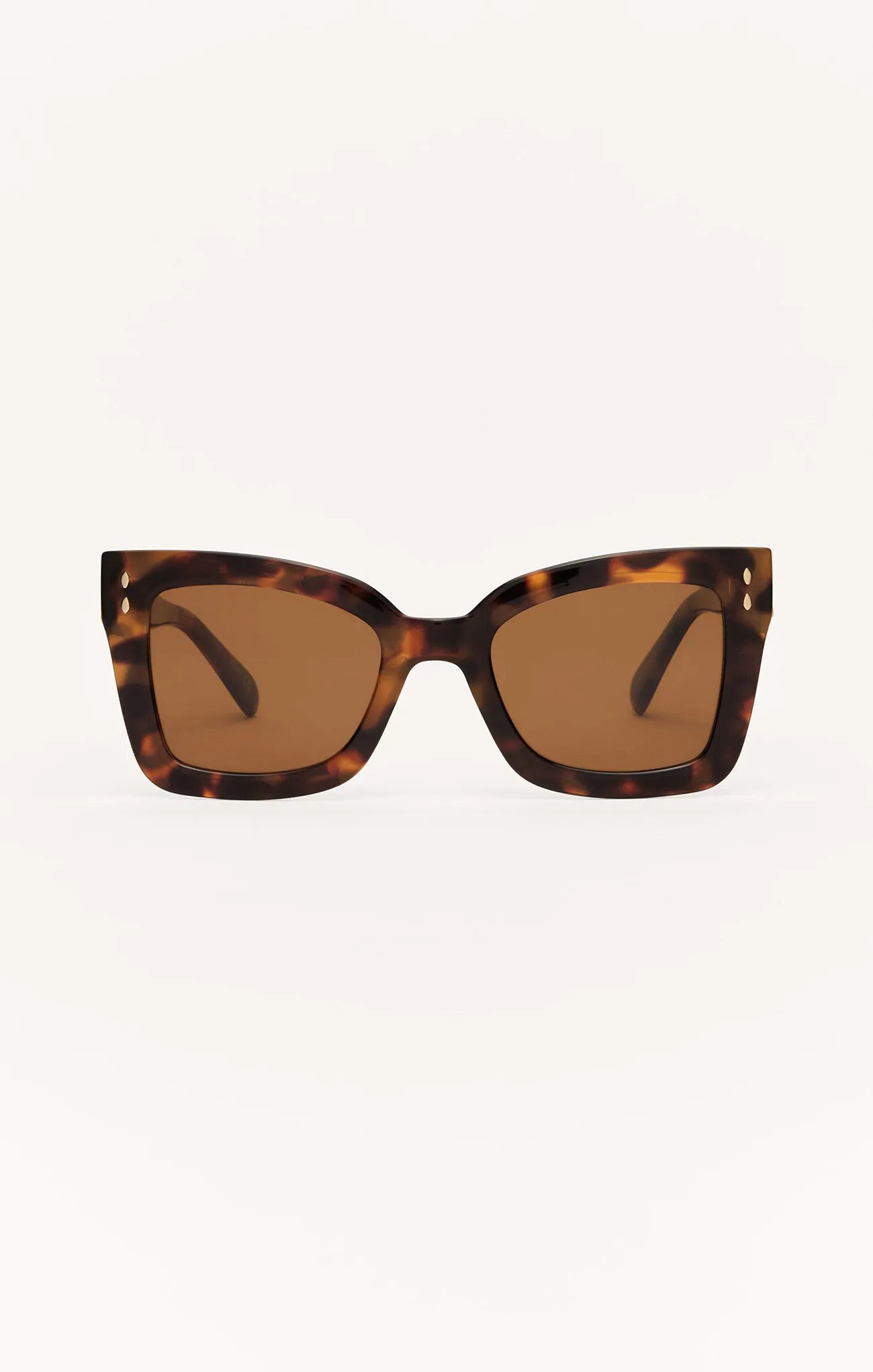 Brown Tortoise - Brown