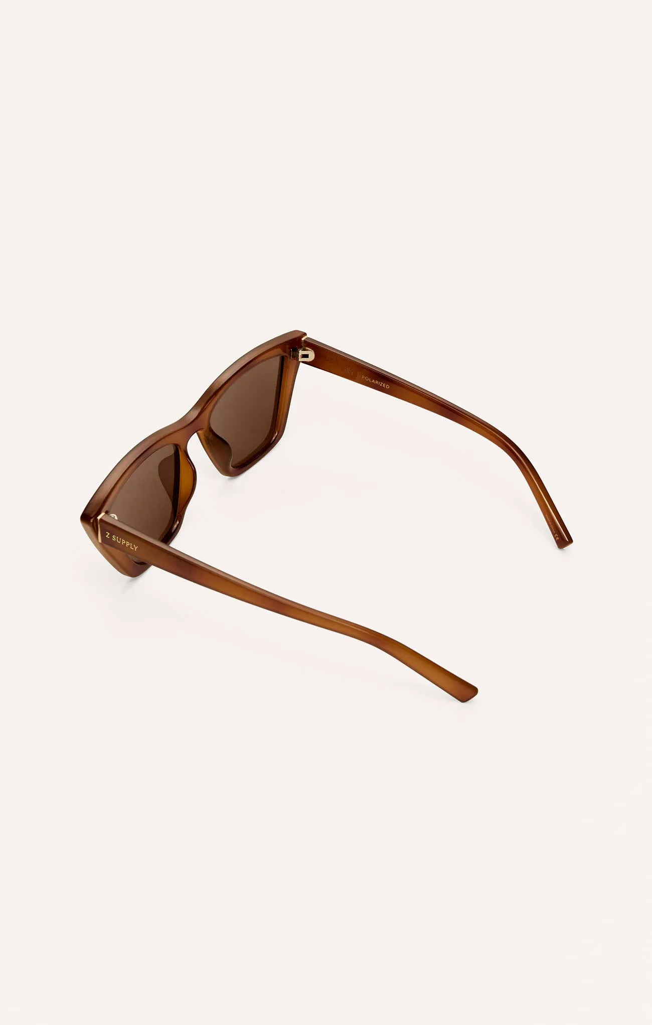 Brown Tortoise - Brown