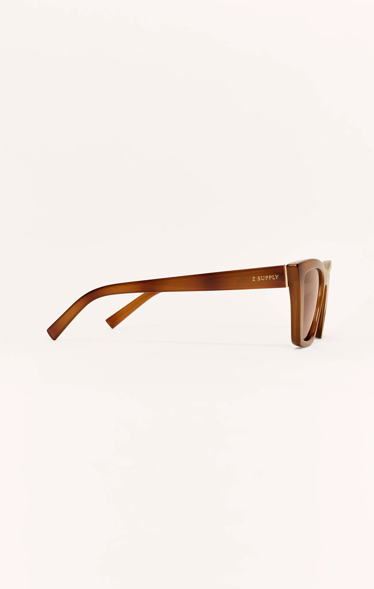 Brown Tortoise - Brown