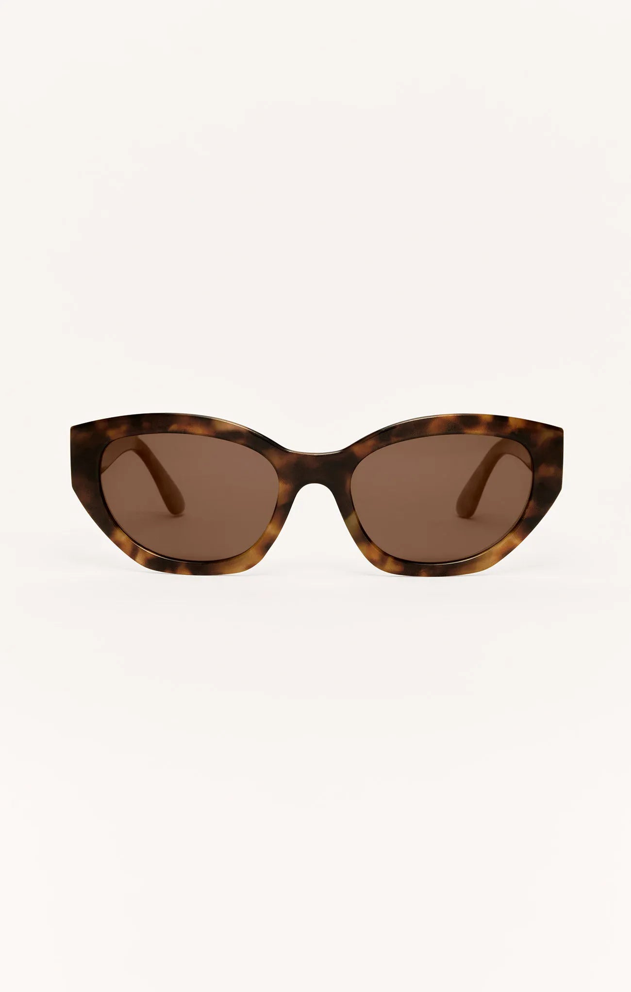 Brown Tortoise - Brown