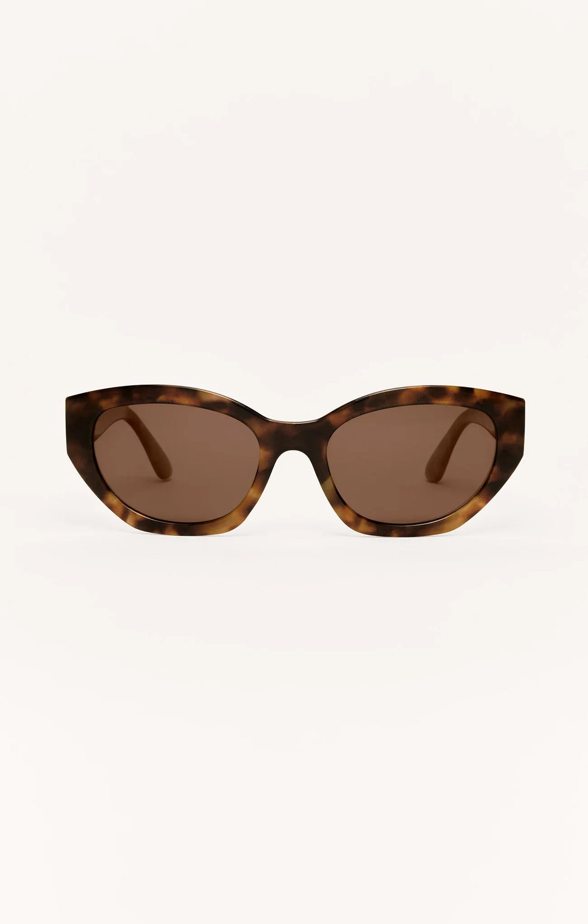 Brown Tortoise - Brown