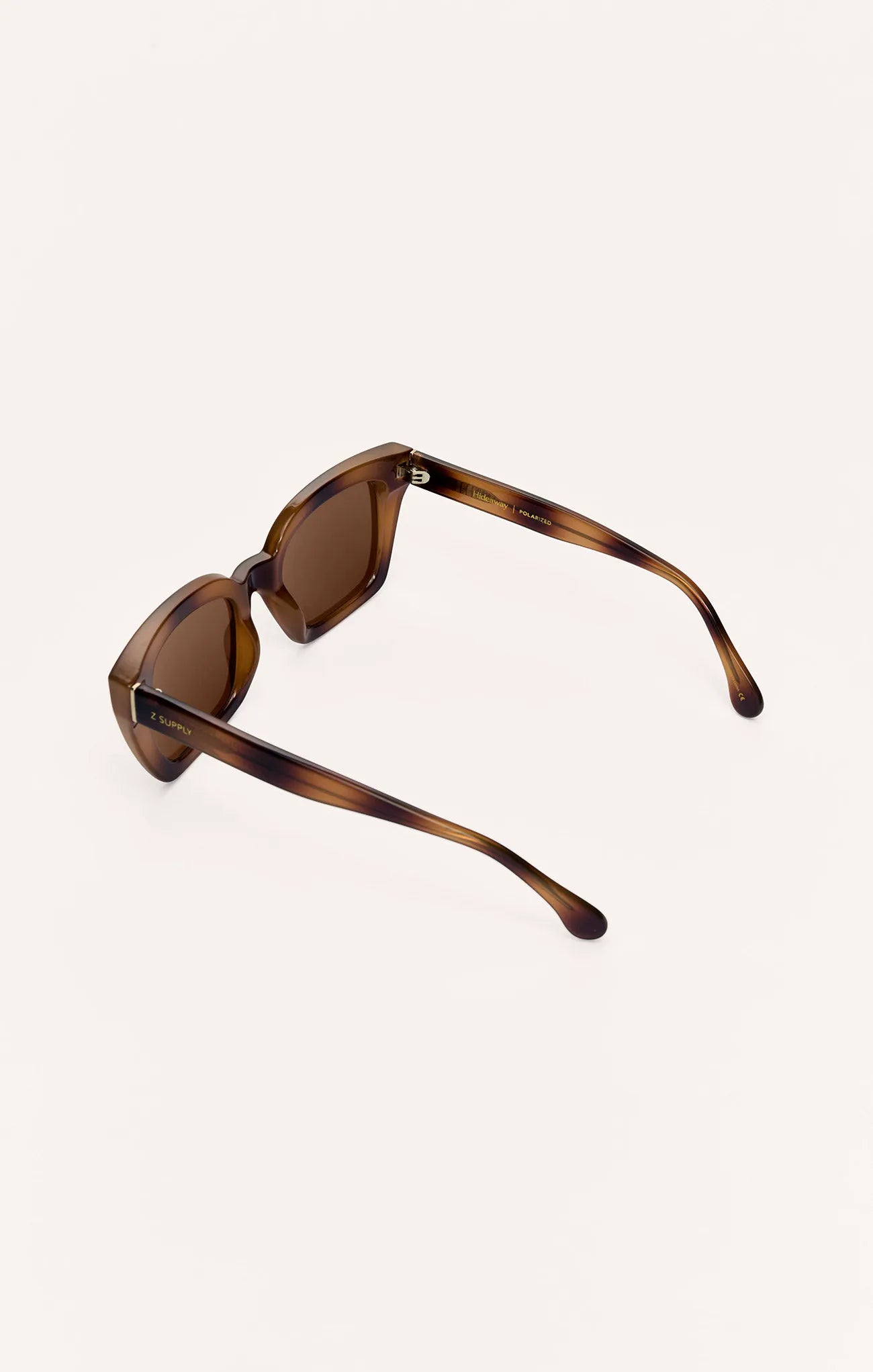 Brown Tortoise - Brown