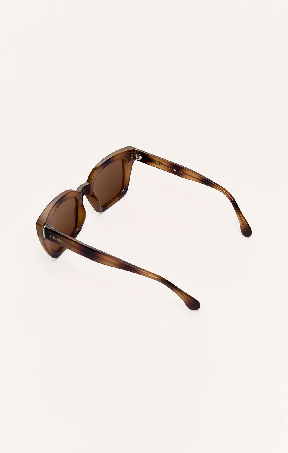 Brown Tortoise - Brown