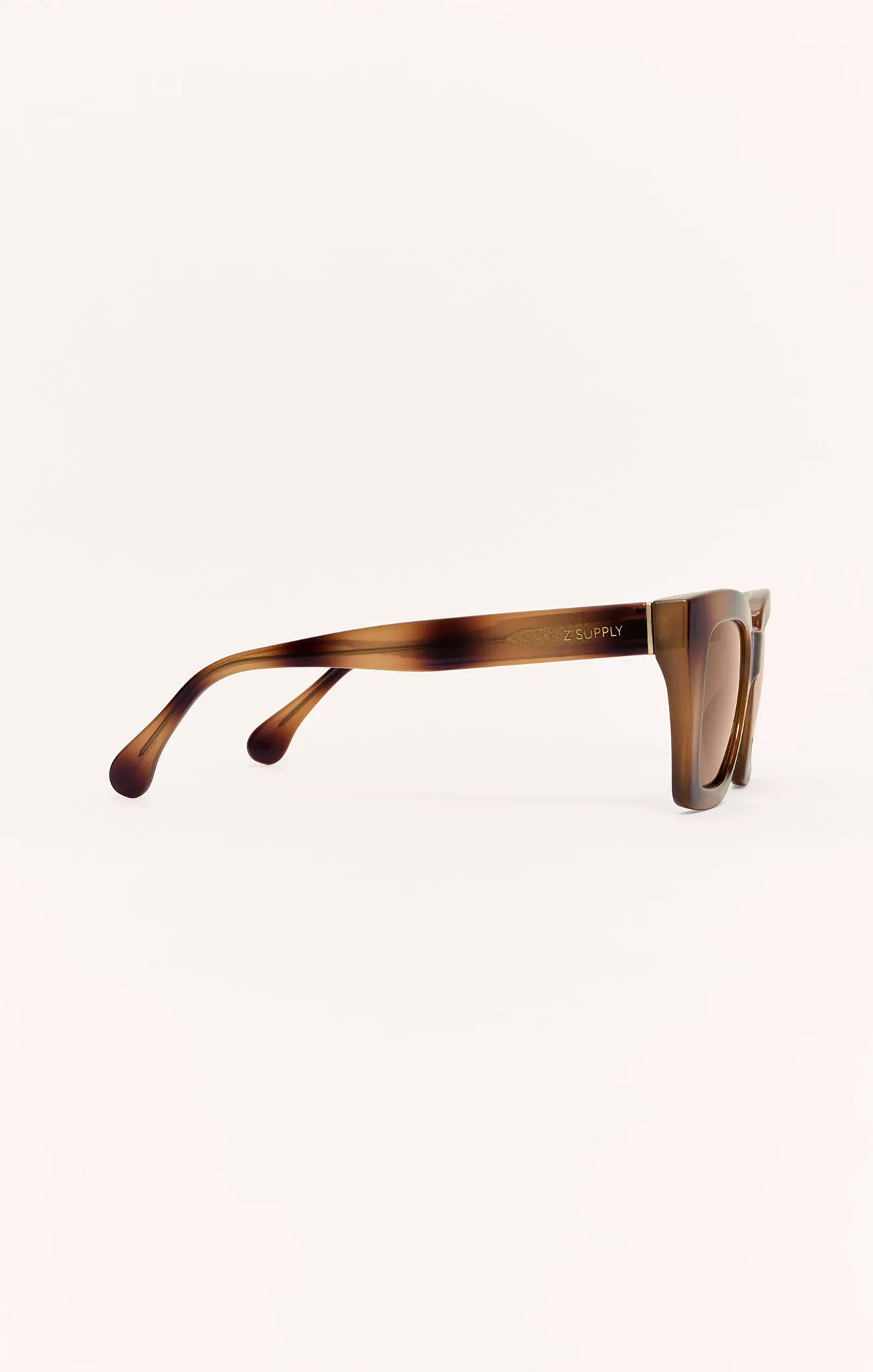 Brown Tortoise - Brown