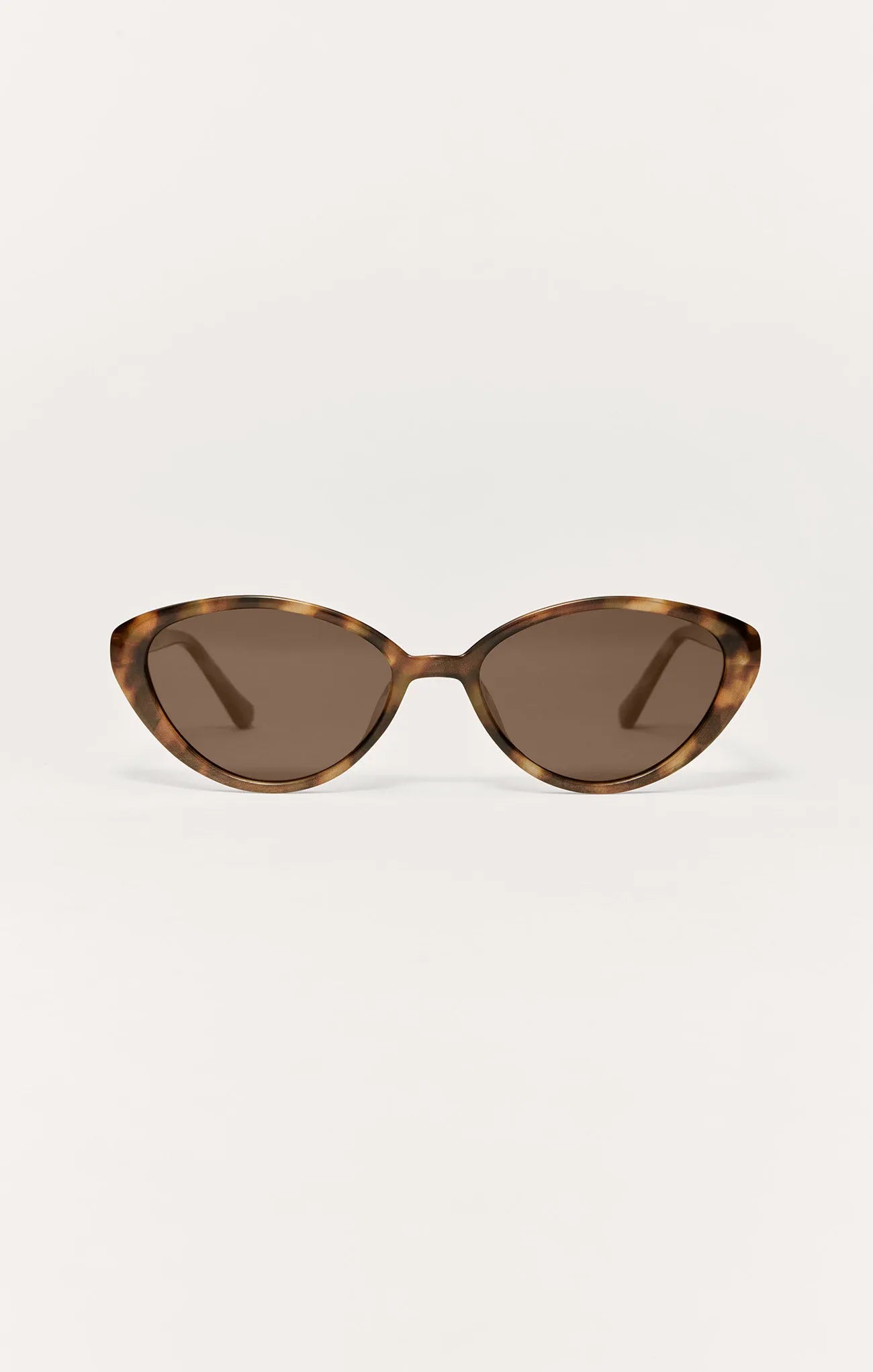 Brown Tortoise - Brown