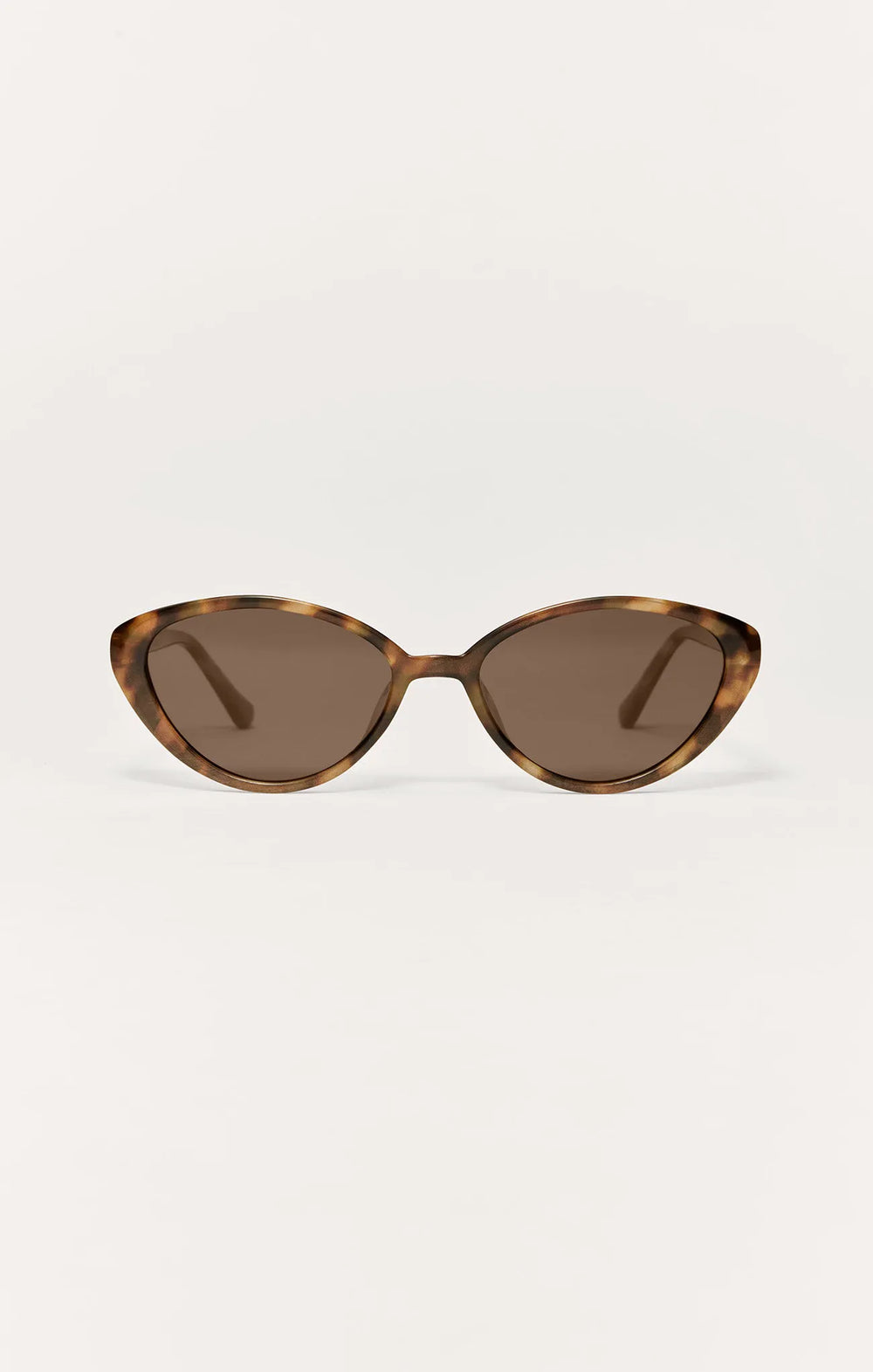 Brown Tortoise - Brown