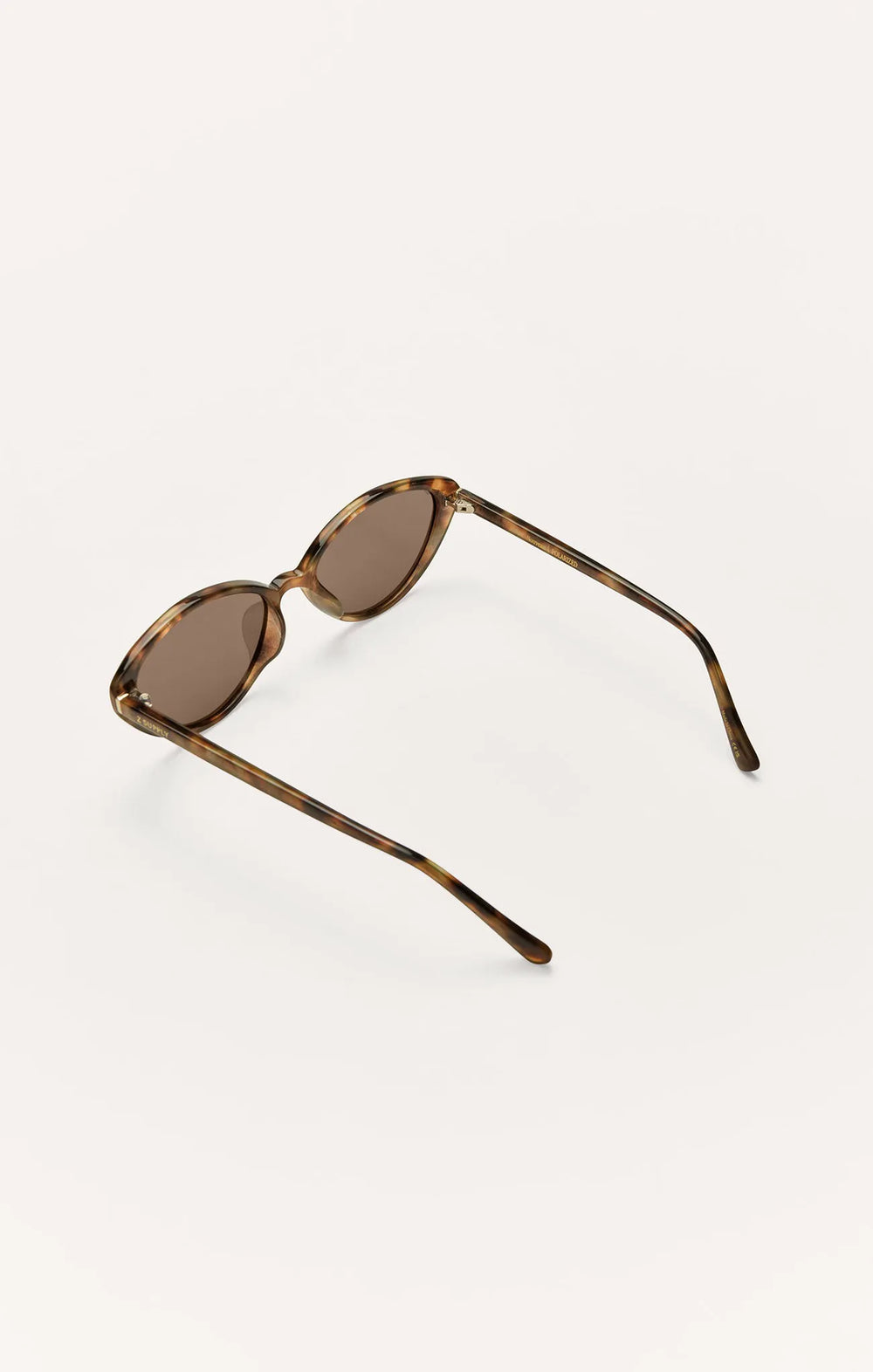 Brown Tortoise - Brown