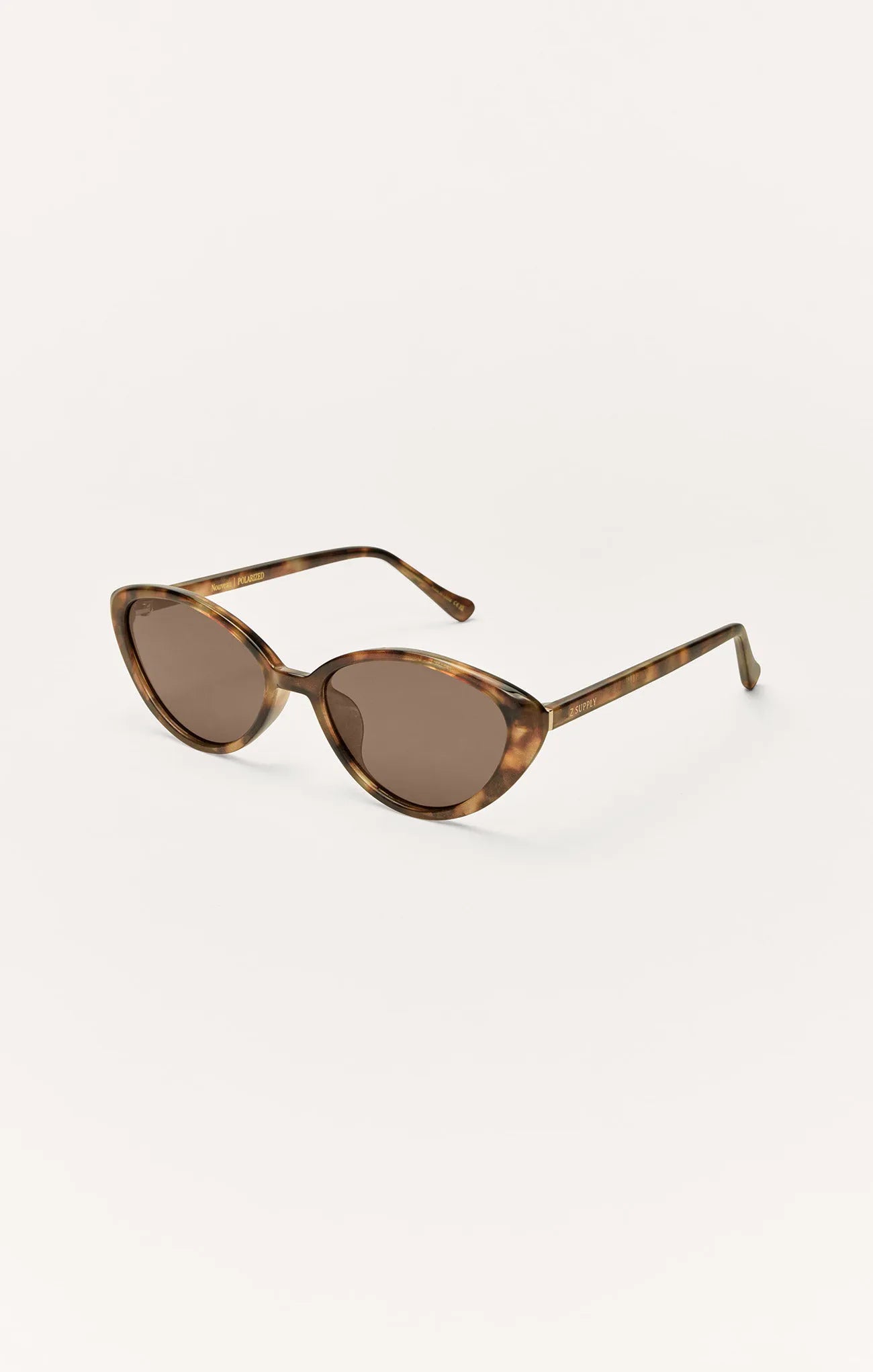 Brown Tortoise - Brown