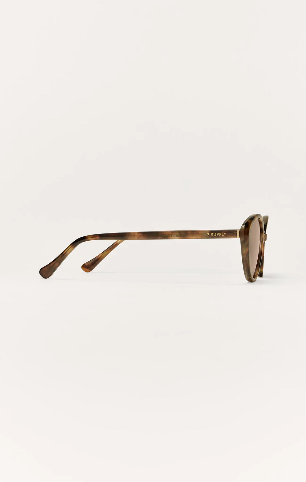 Brown Tortoise - Brown
