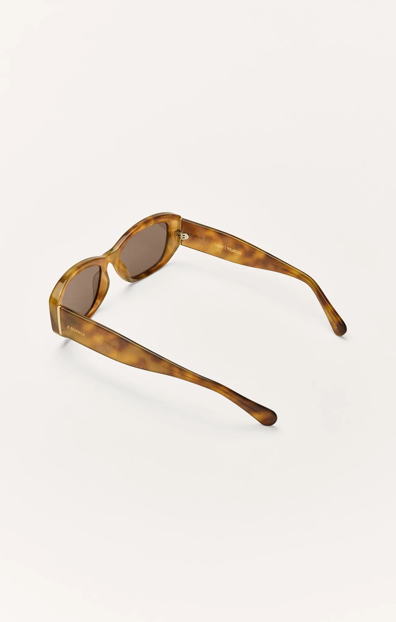 Brown Tortoise - Brown