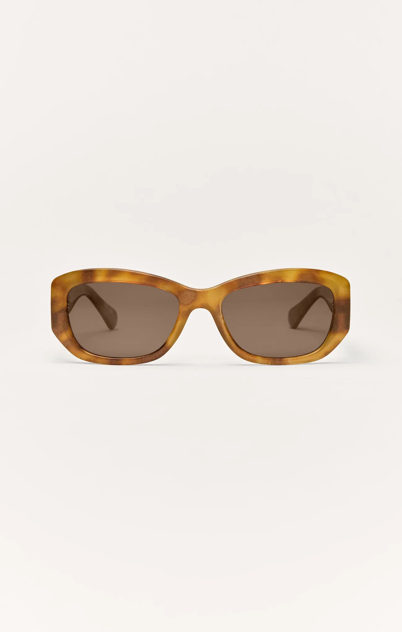 Brown Tortoise - Brown