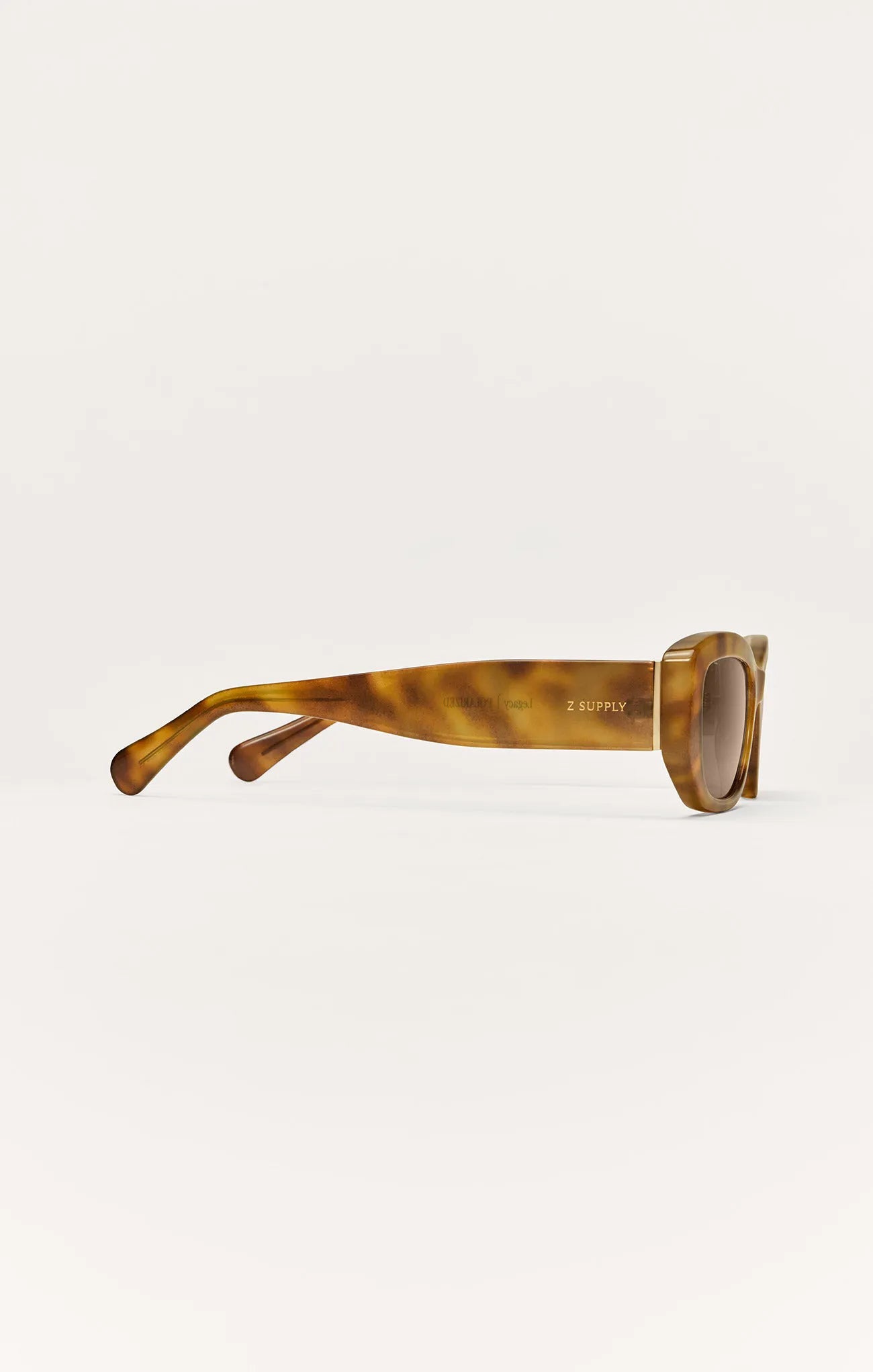 Brown Tortoise - Brown