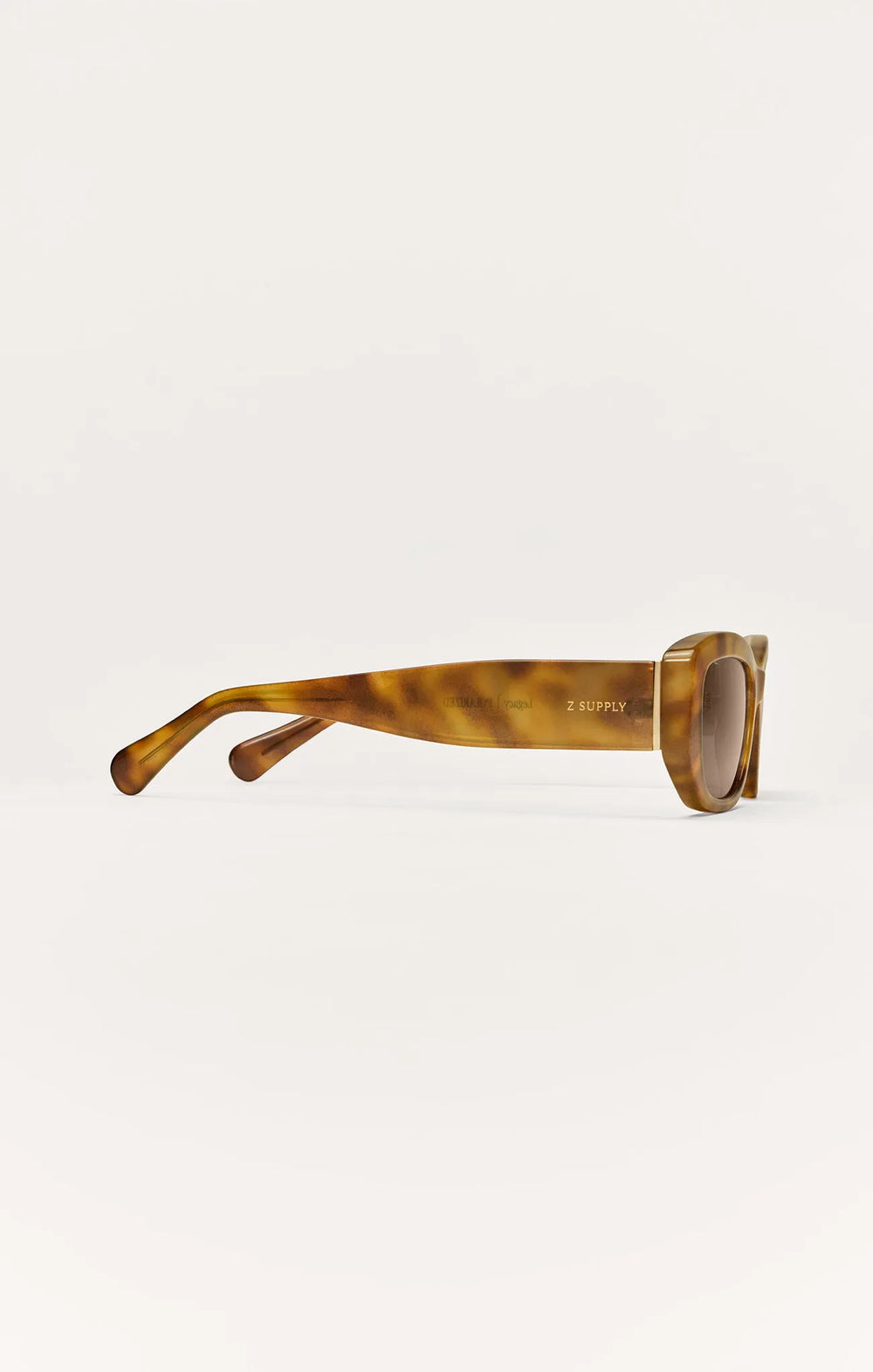 Brown Tortoise - Brown