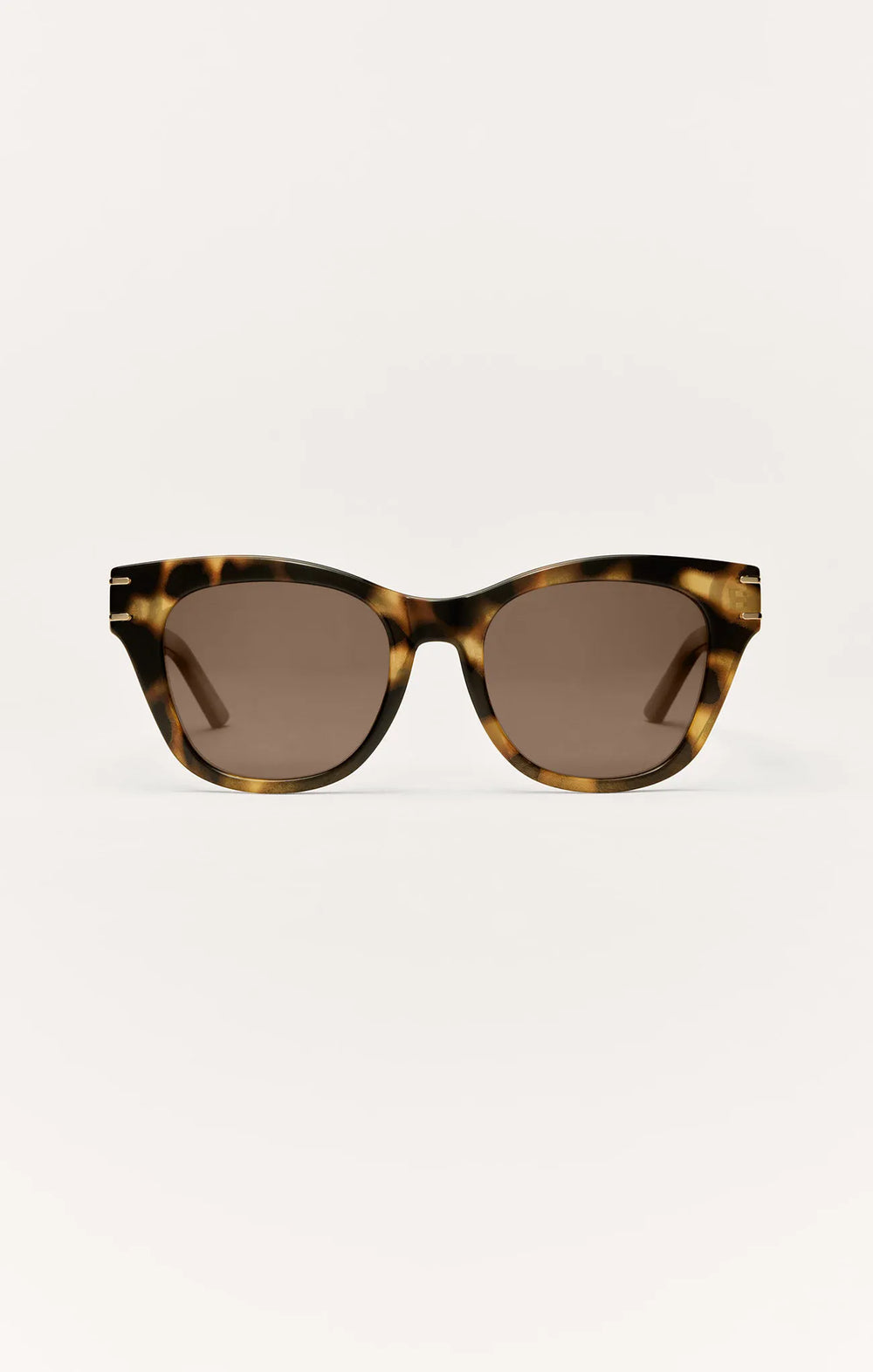 Brown Tortoise - Brown