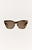 Brown Tortoise - Brown