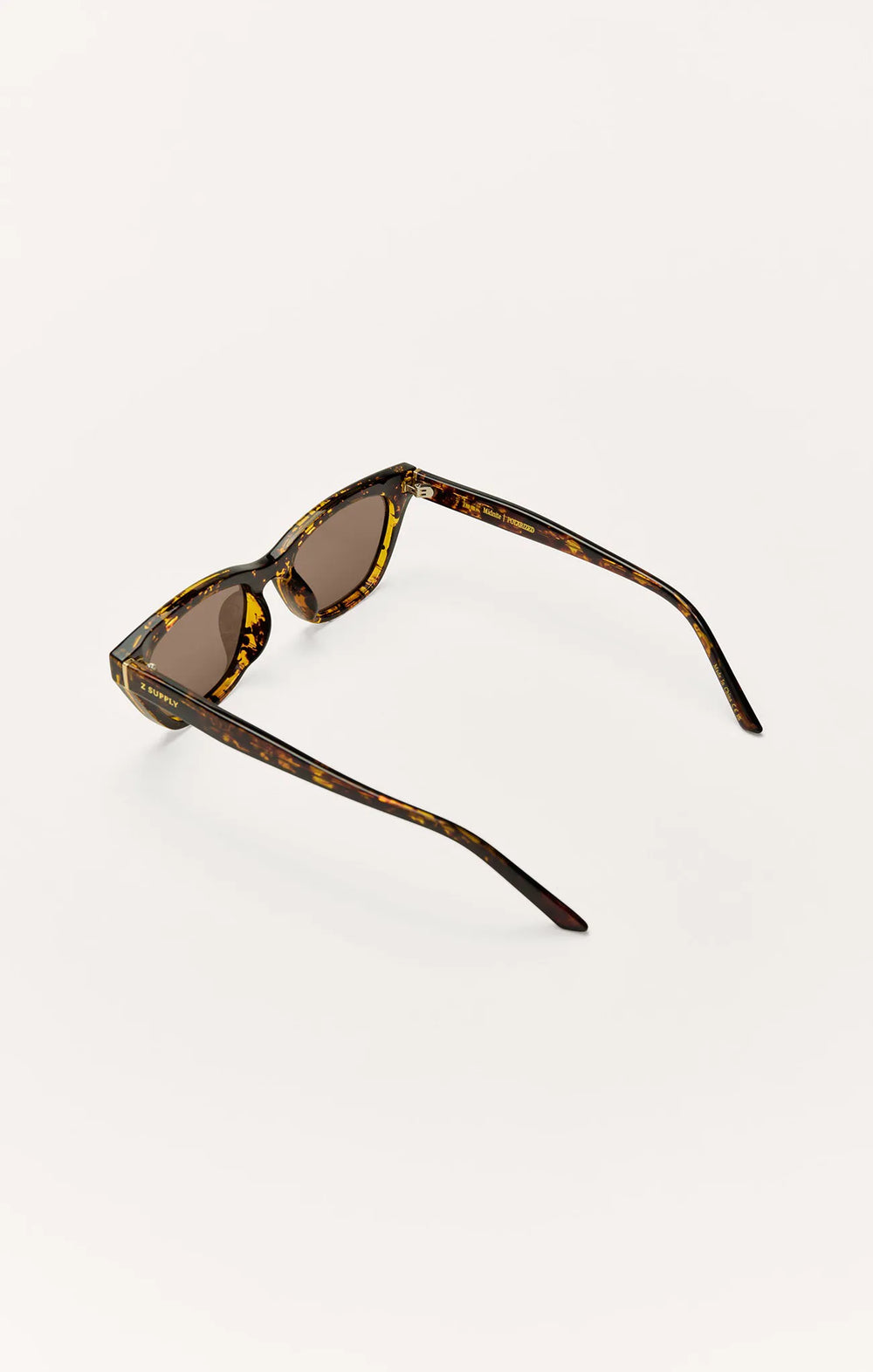 Brown Tortoise - Brown