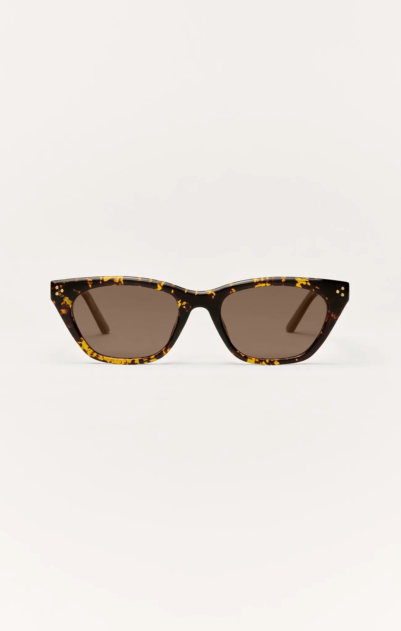 Brown Tortoise - Brown
