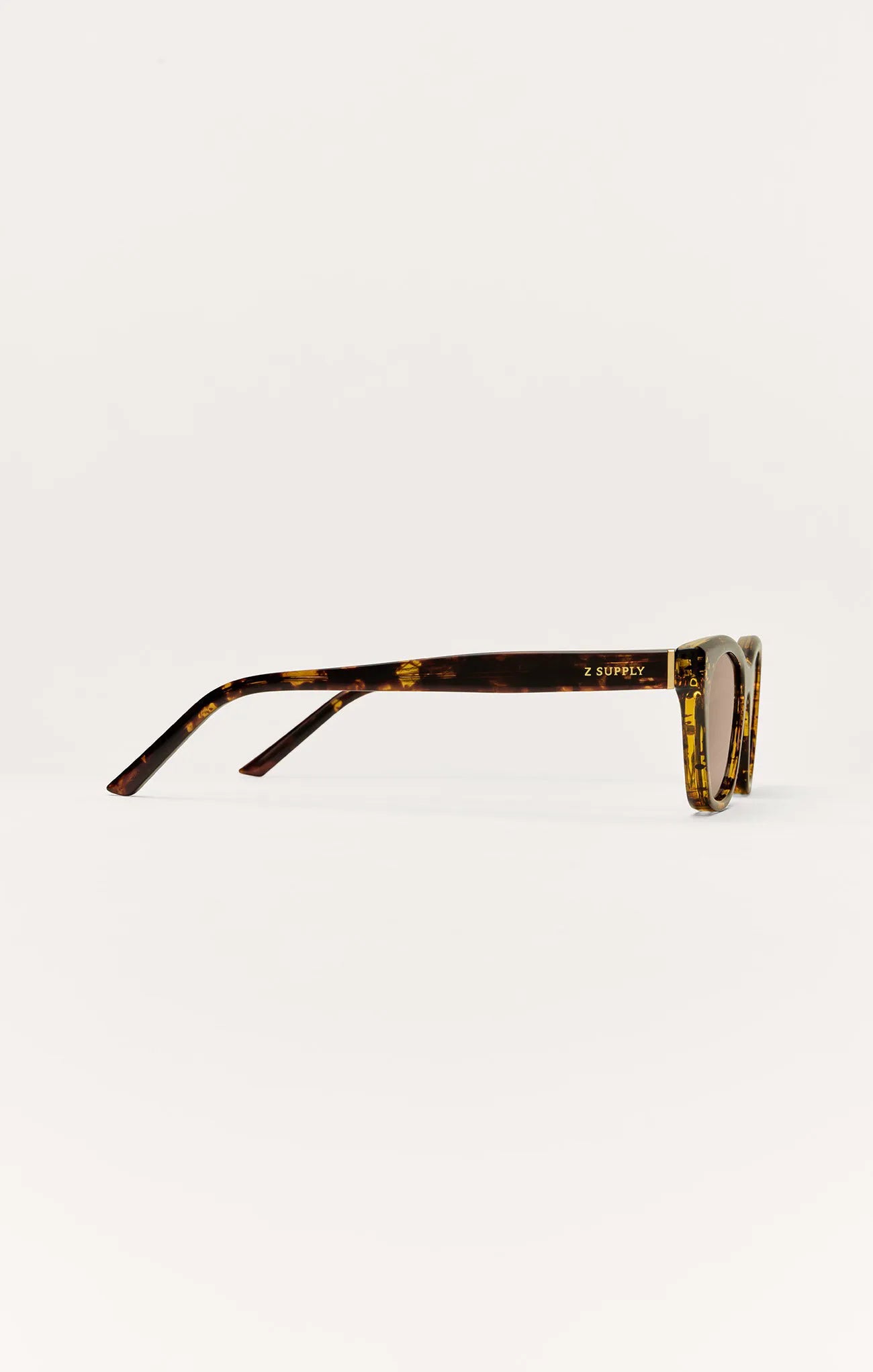 Brown Tortoise - Brown