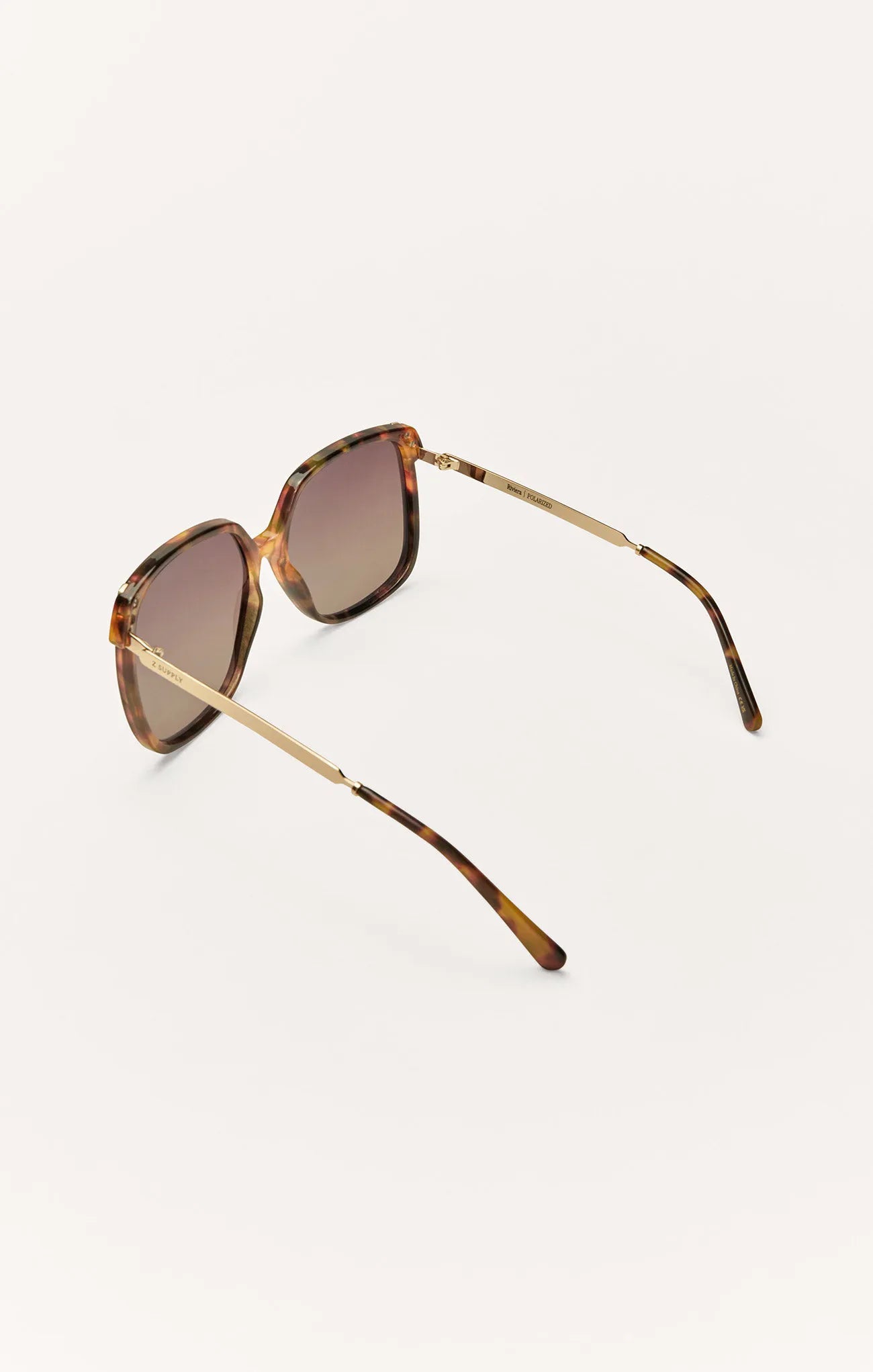 Brown Tortoise - Gradient