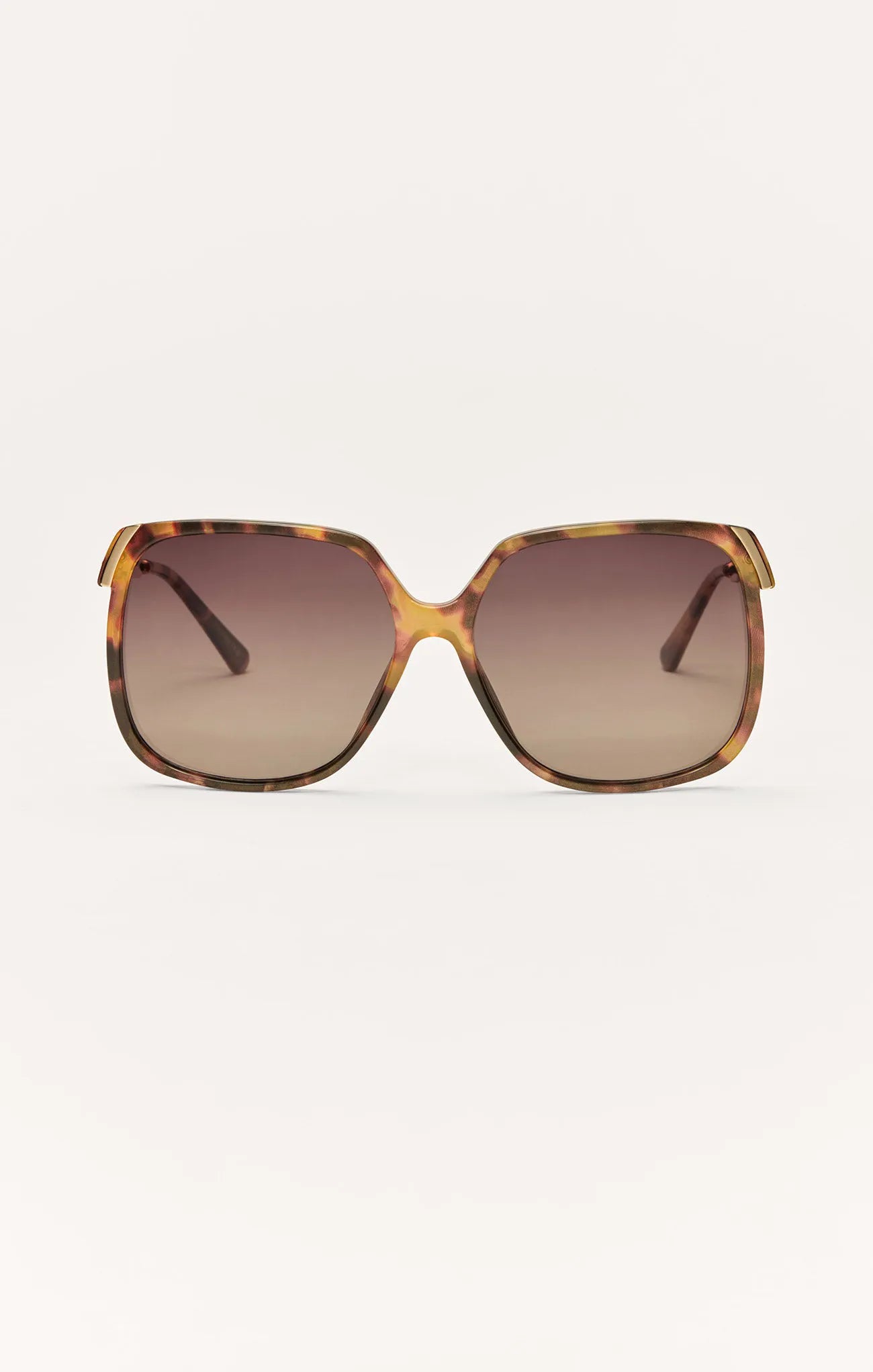 Brown Tortoise - Gradient
