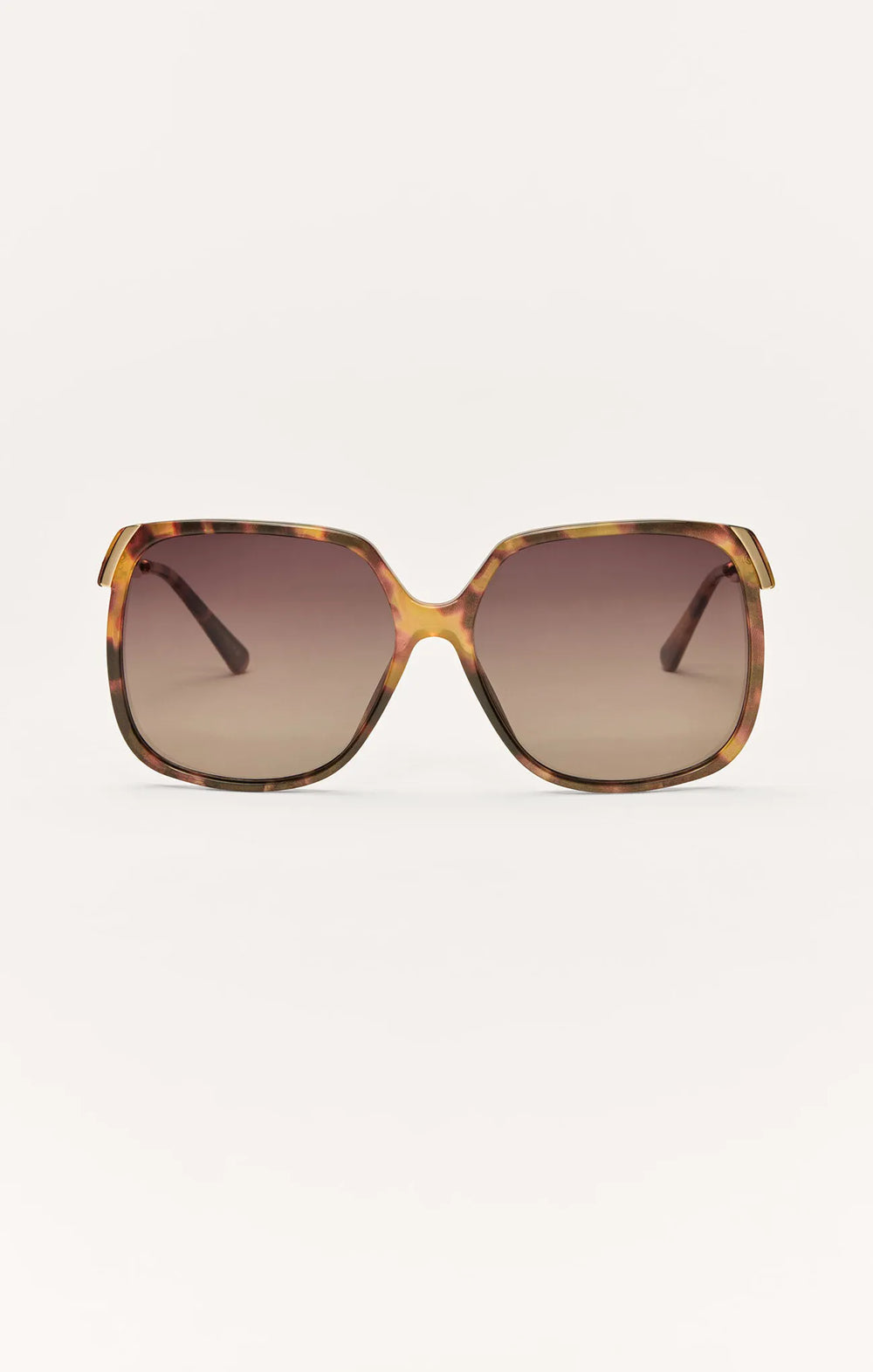 Brown Tortoise - Gradient