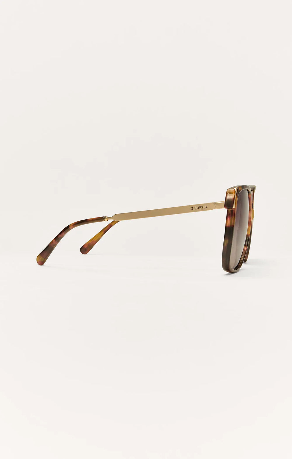 Brown Tortoise - Gradient