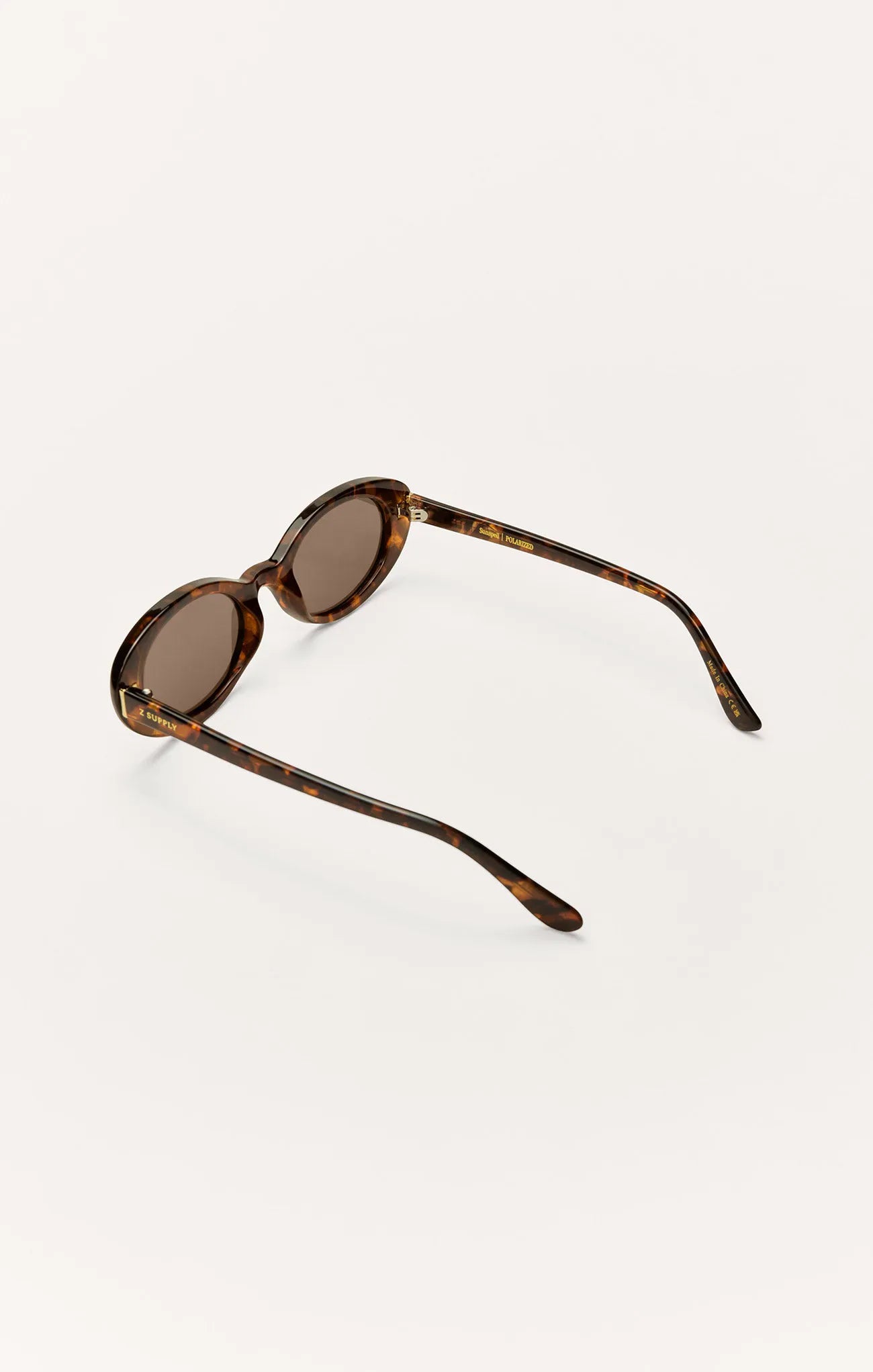 Brown Tortoise - Brown