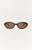 Brown Tortoise - Brown