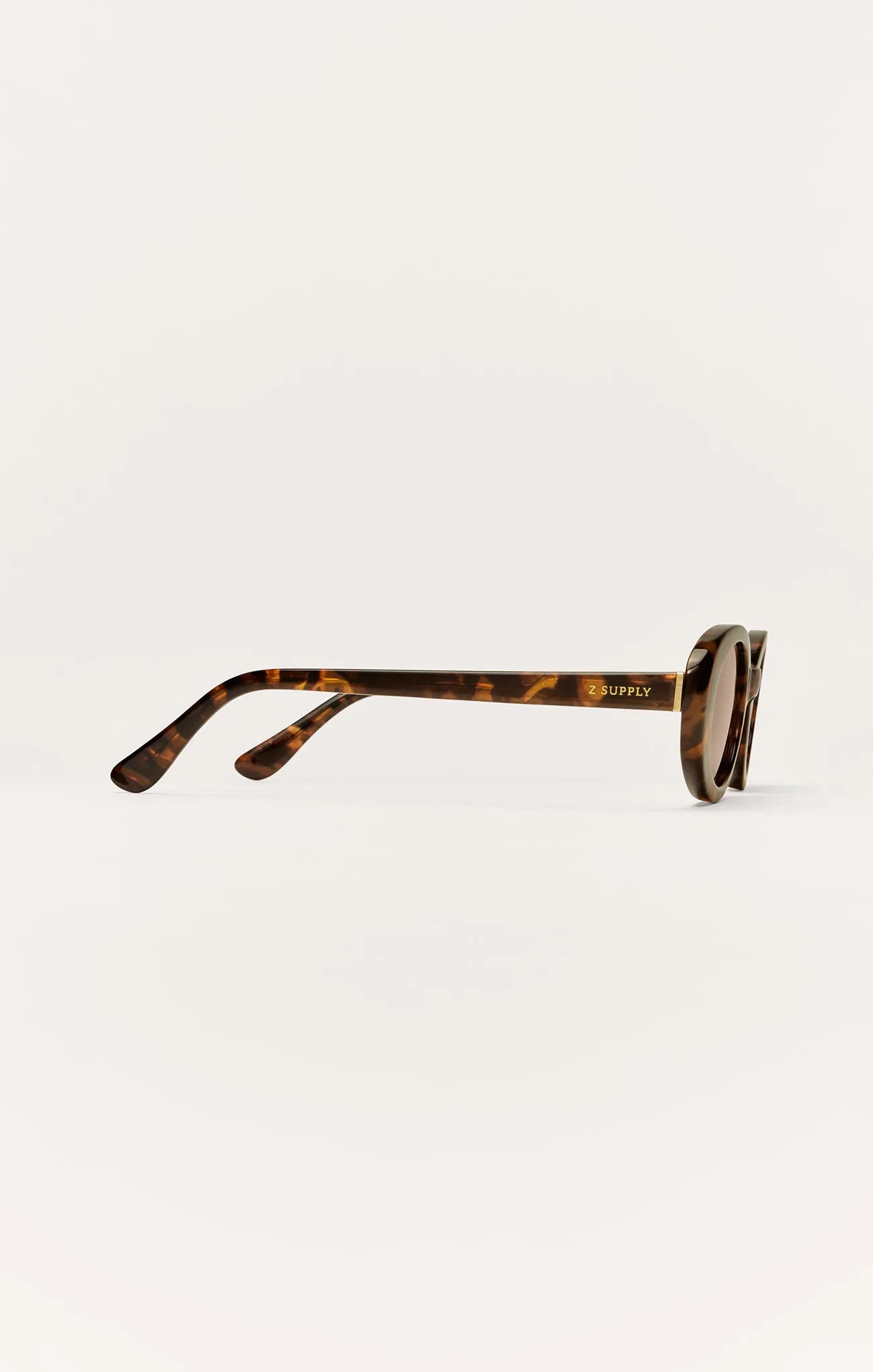 Brown Tortoise - Brown