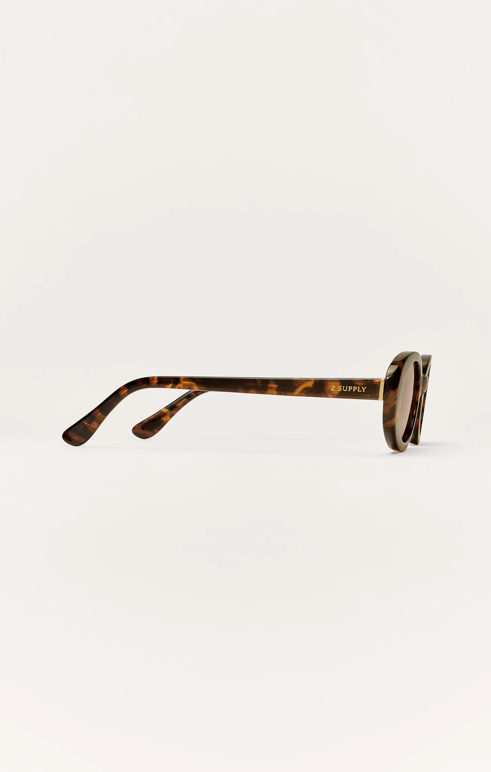 Brown Tortoise - Brown