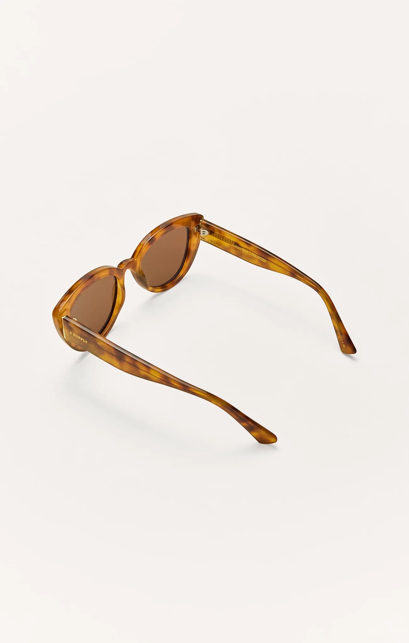 Brown Tortoise - Brown