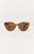 Brown Tortoise - Brown