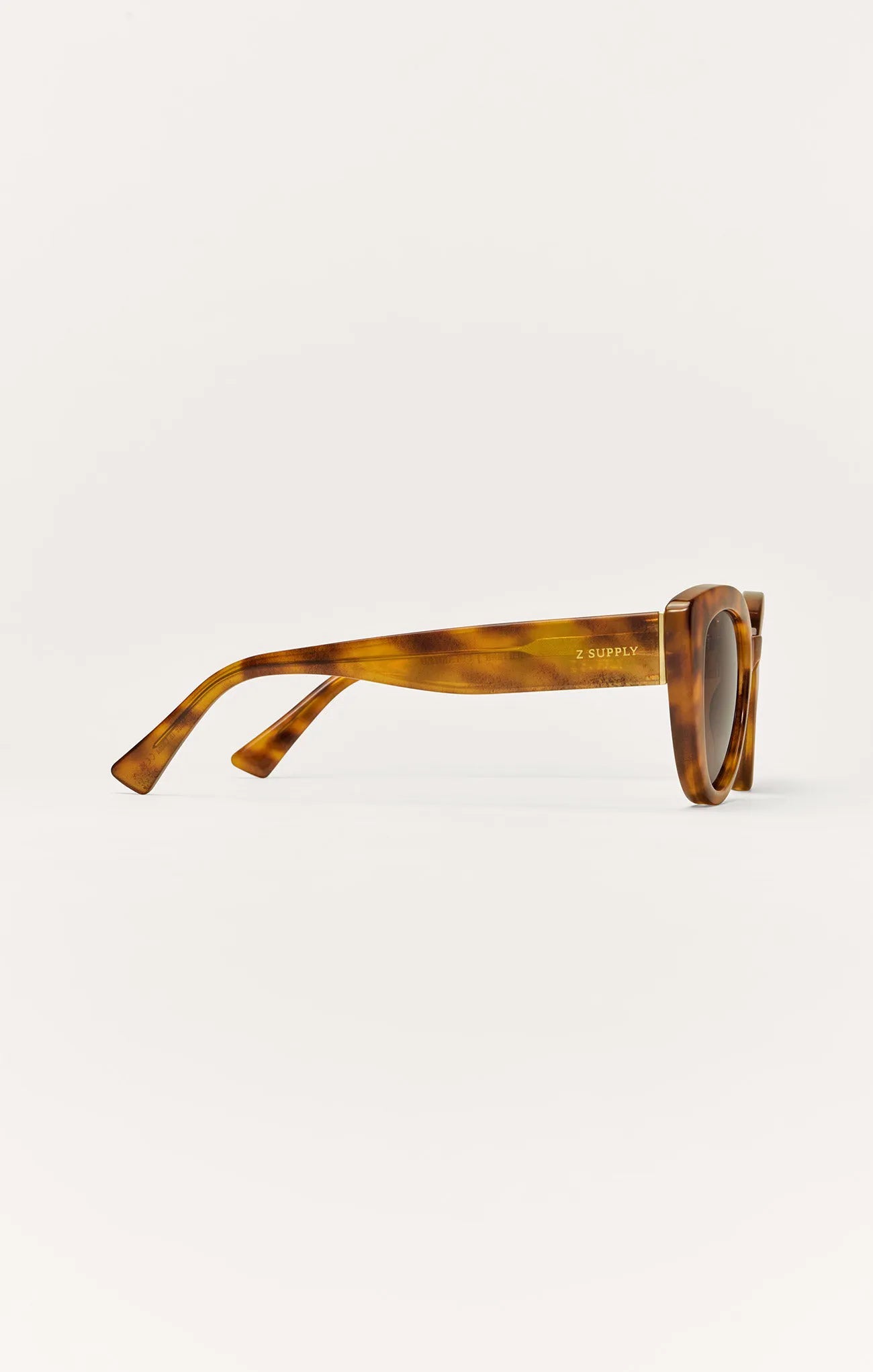 Brown Tortoise - Brown