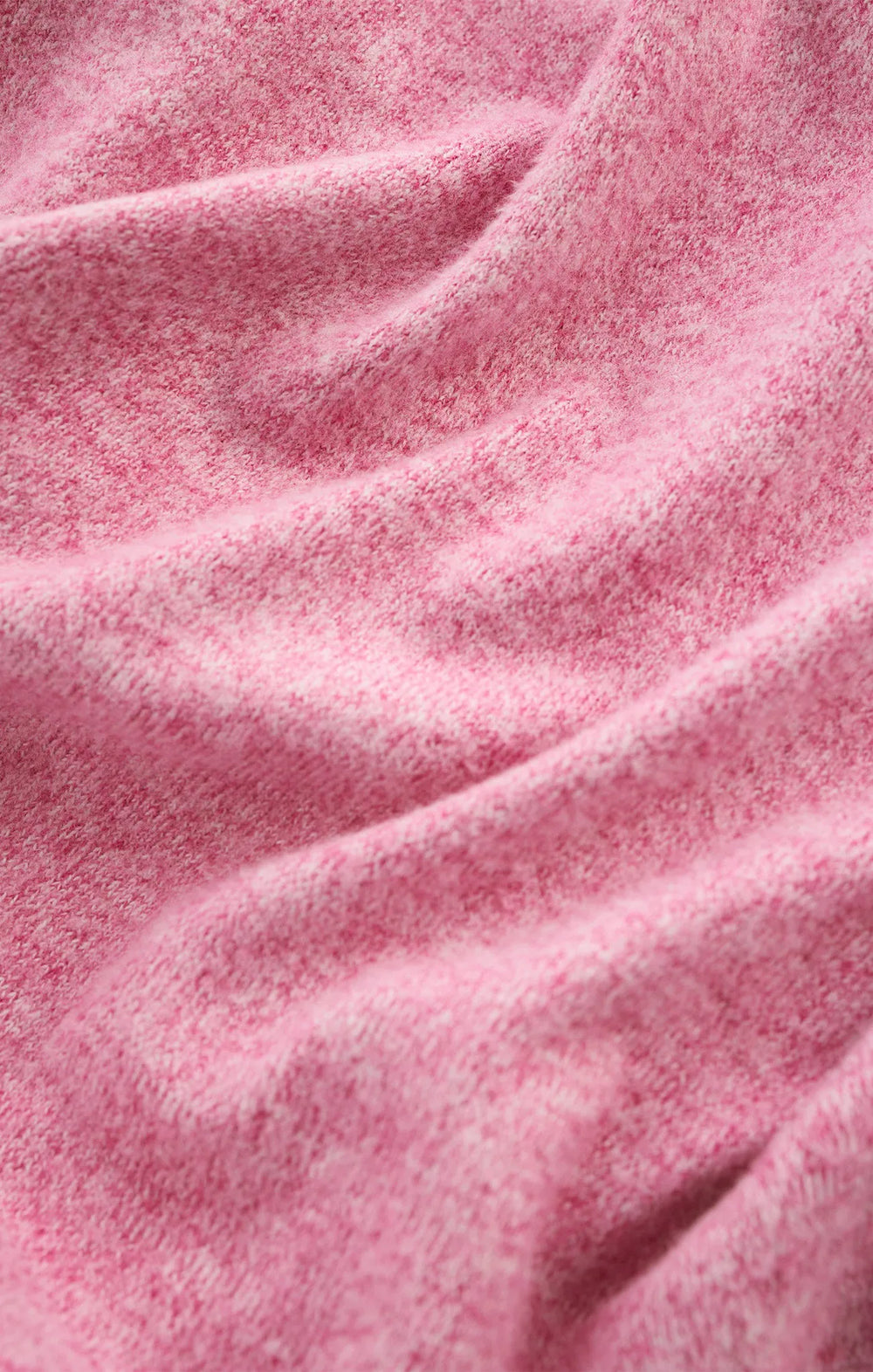 Sweet Plum