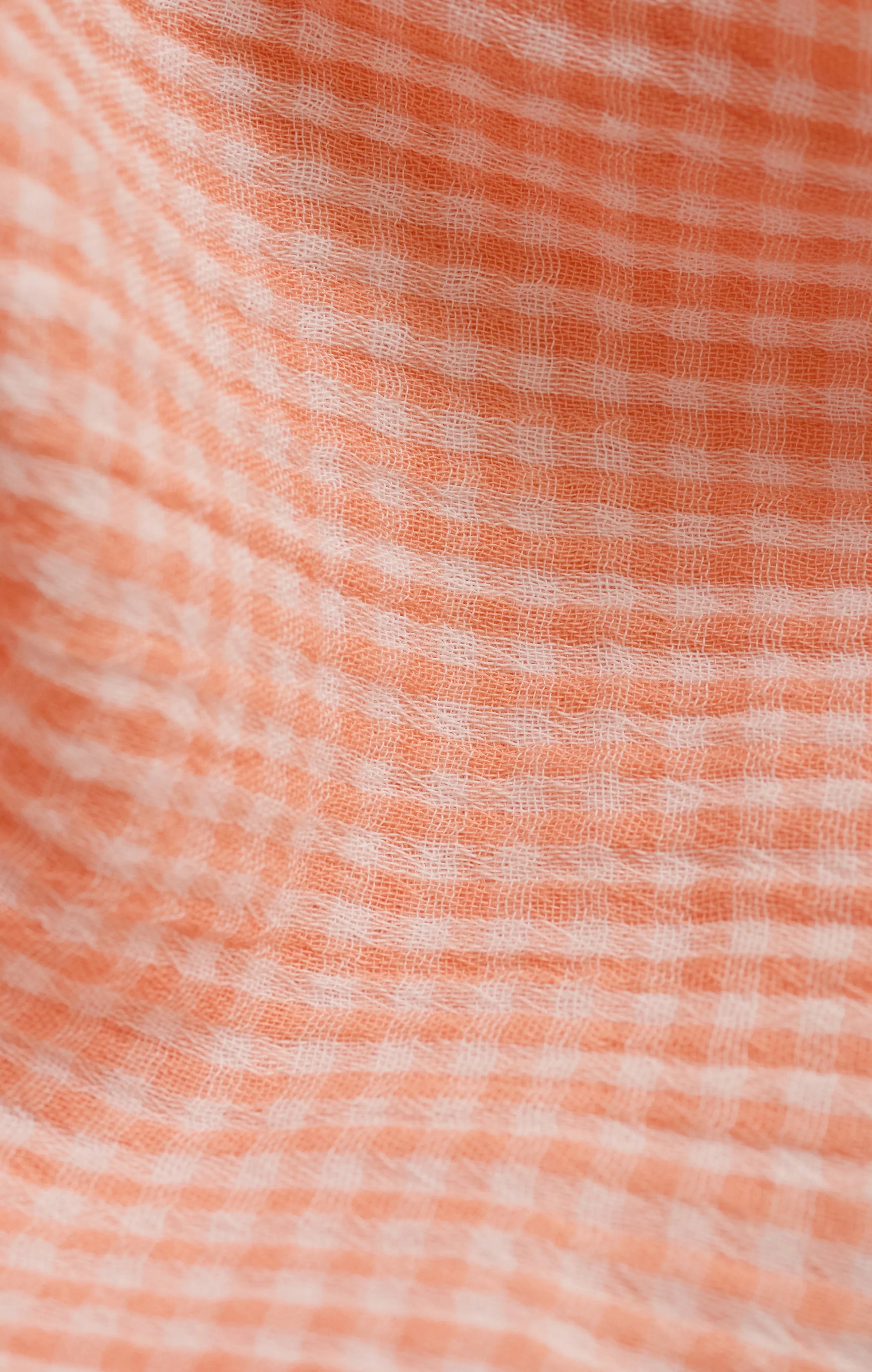 Cantaloupe